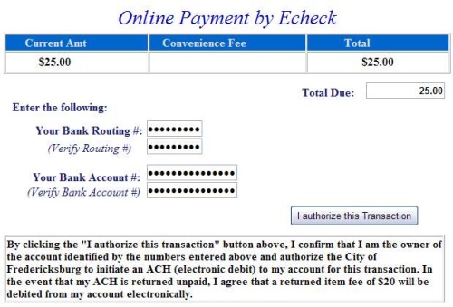 pay by echeck example screen