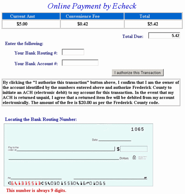 Pay by electronic check example screen