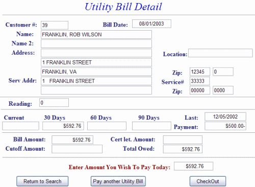 Utility bill detail example screen