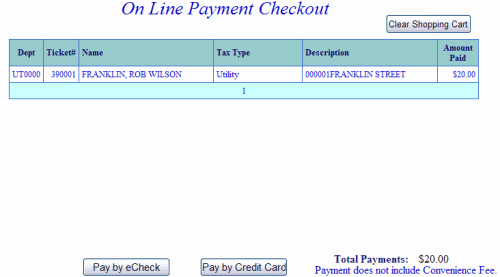Online payment checkout example screen