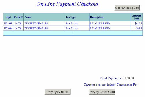 Payment checkout example screen