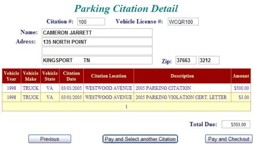 Parking citation detail example screen